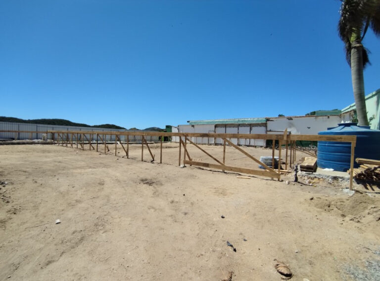 Foto da obra