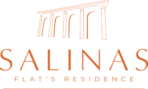 Logo Salinas
